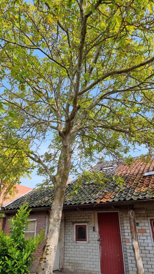 'T Bakuusje Hotel Kamperland Bagian luar foto